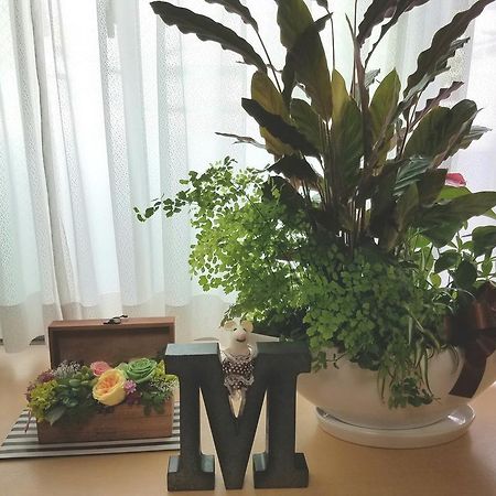 Villa M Guesthouse Kanazawa Zewnętrze zdjęcie